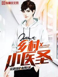乡村小医圣txt小说免费阅读最新章节