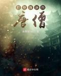 穿越西游成唐僧的小说