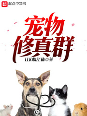 宠物修炼0到10大概需要多少钱