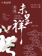 龙凤呈祥小说剧透