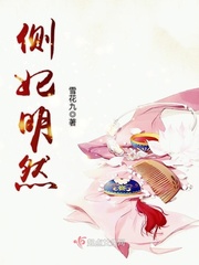 侧妃宠妾文