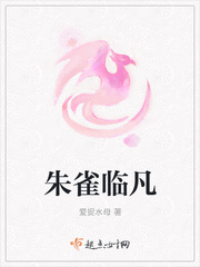 朱雀zero