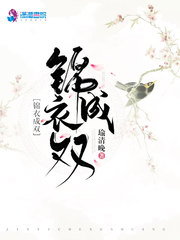 锦衣成双小说全文免费阅读无弹窗