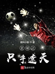 足球之恋小说