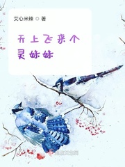 天上飞来个灵妹妹小说全文免费阅读无弹窗