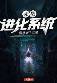 无限进化系统一江