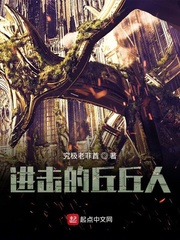 丘丘人的书