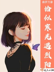 恰似寒光遇骄阳全本下载