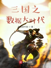 数据化三国类小说