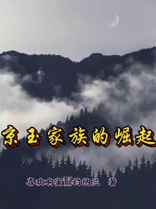 京玉酒52度浓香型价格