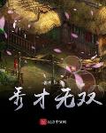 秀才无双小说在线阅读