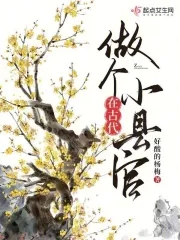 在古代县城养儿txt百度网盘